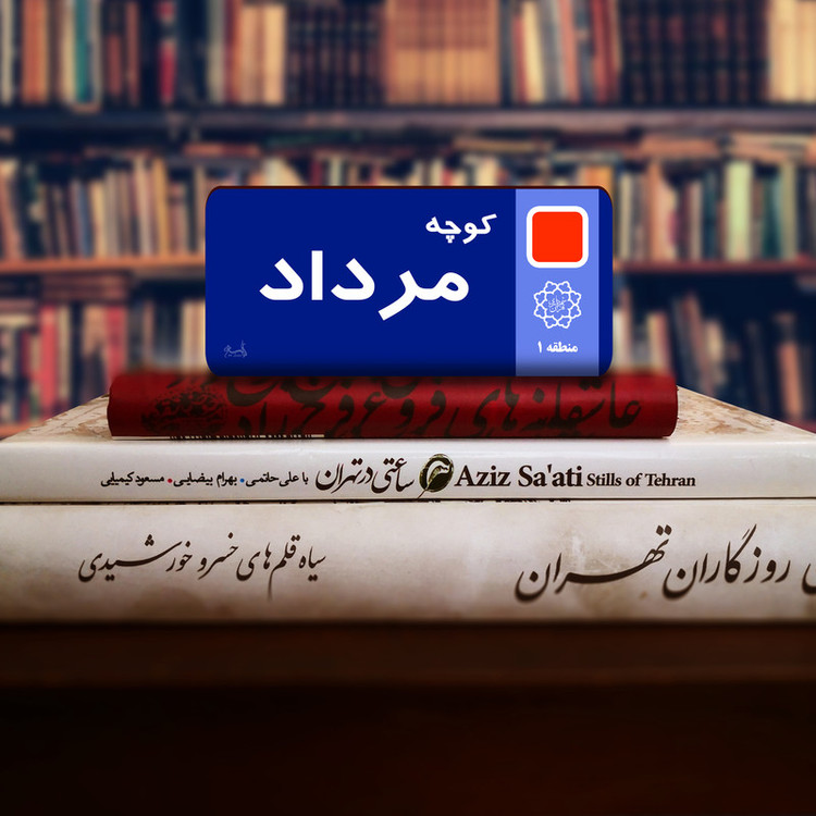 نشانگر کتاب لوکسینو مدل کوچه مرداد