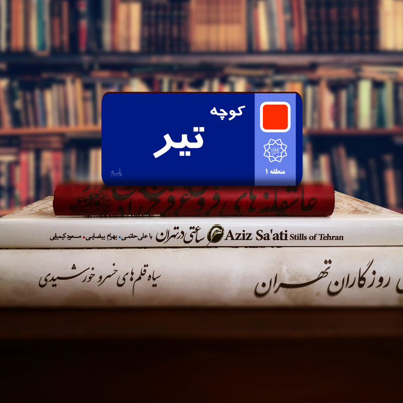 نشانگر کتاب لوکسینو مدل ماه تولد مجموعه 12 عددی